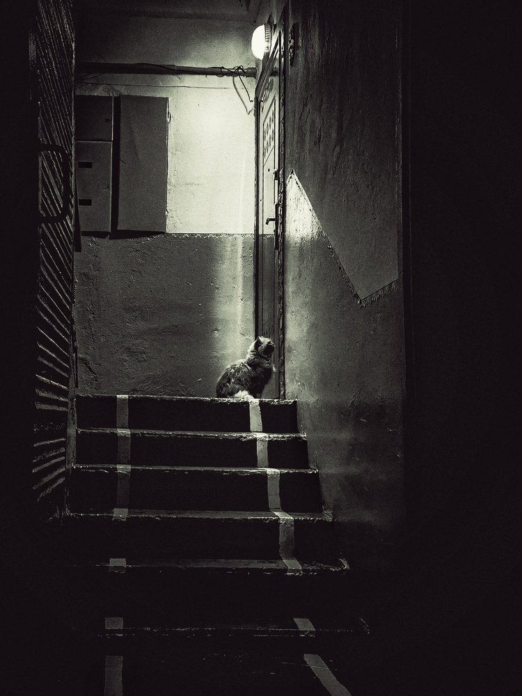 Возвращение домой