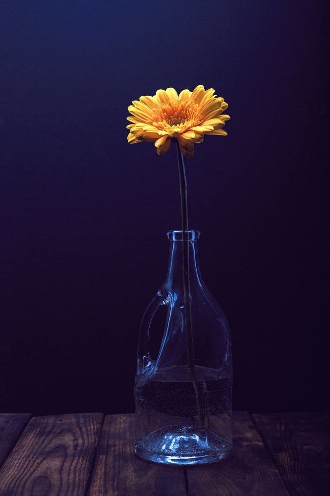 Фотография автора Дмитрий Антонов