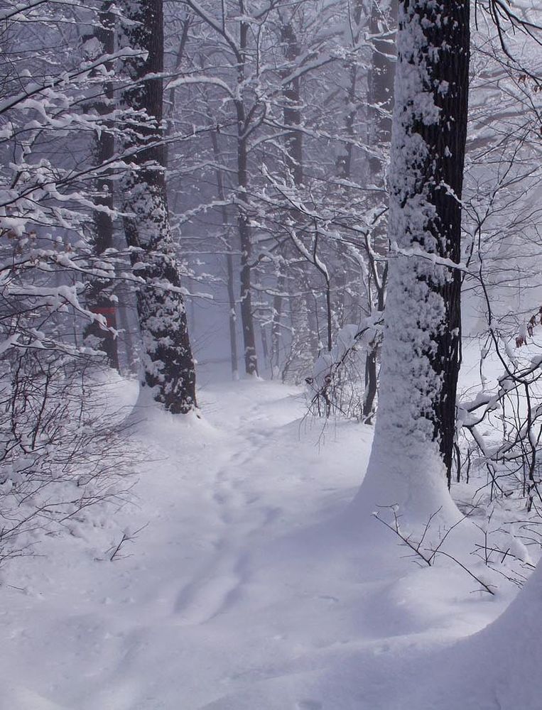 Photograph by Alexandr Dimitrov