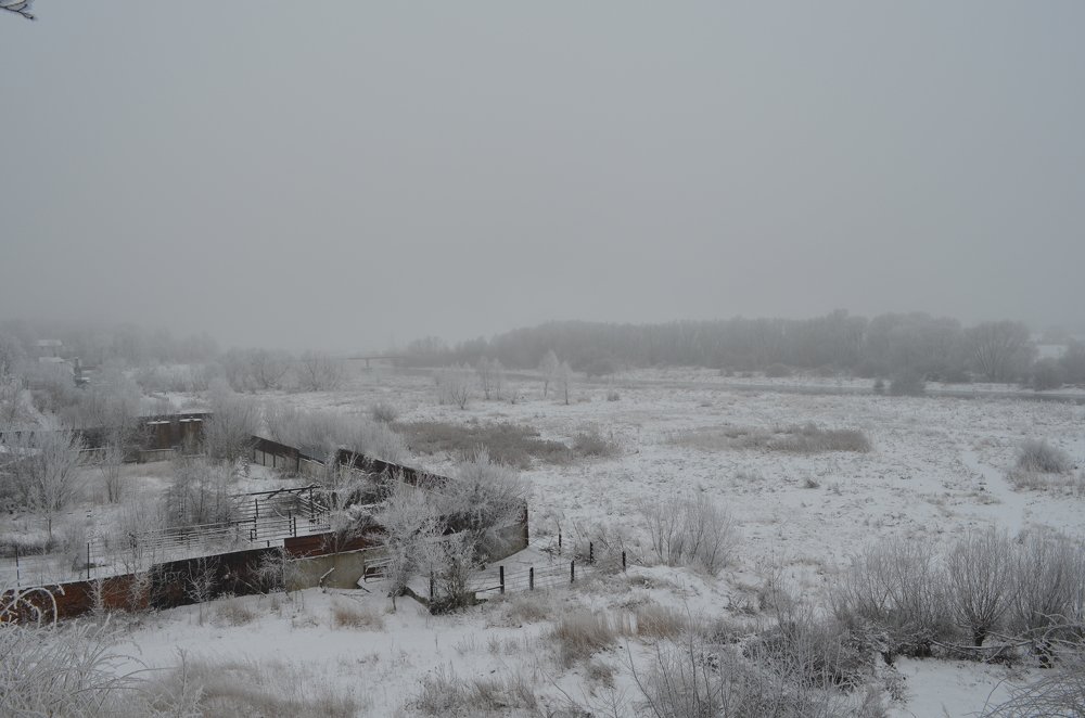 Photograph by София Ланьо