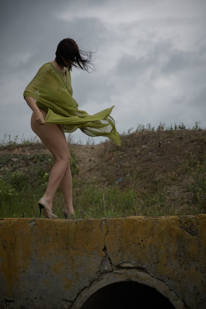 Перед грозой. Ветер.