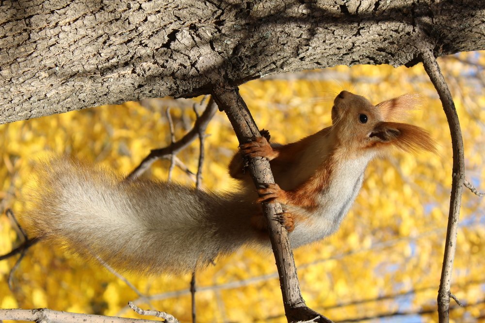 Сфотографируй меня!