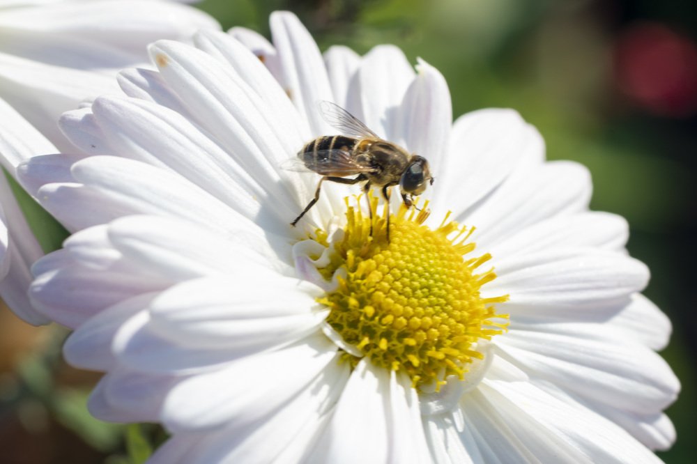 Photograph by Дмитрий Бельмаз