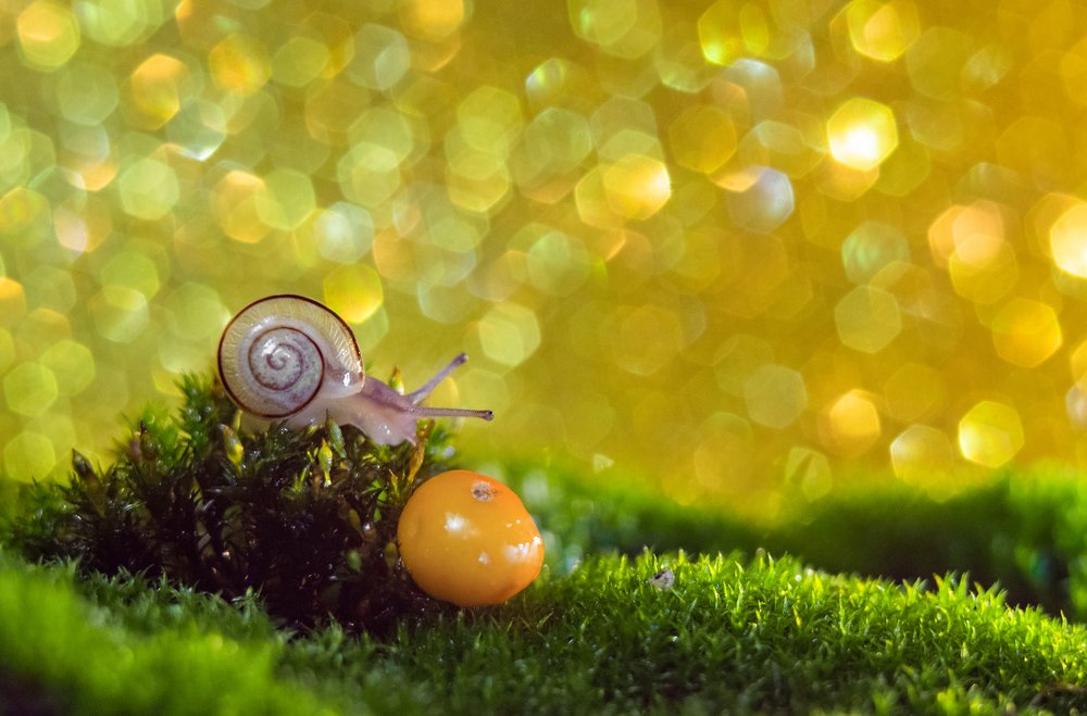 Photograph by Анастасия Орлова