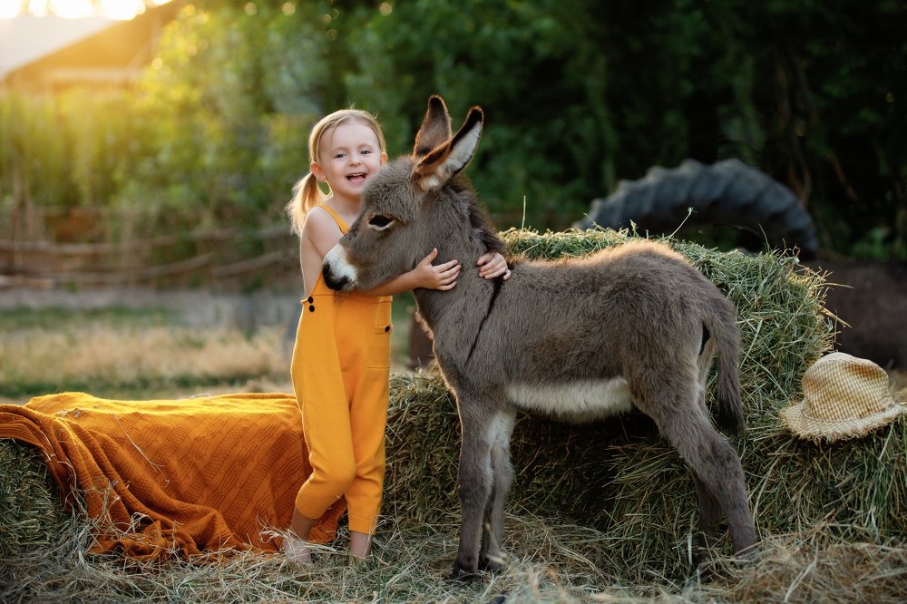 Photograph by Дарья Иванова