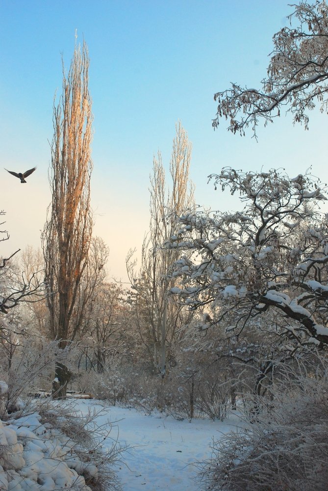 Photograph by Андрей Тарасов