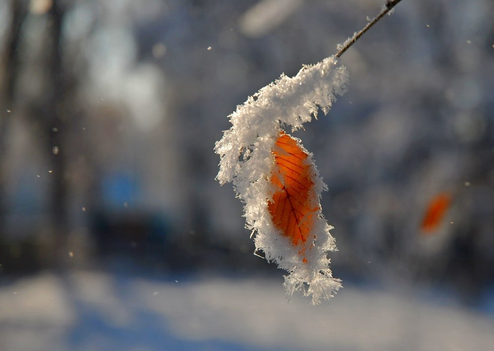 Photograph by Андрей Тарасов