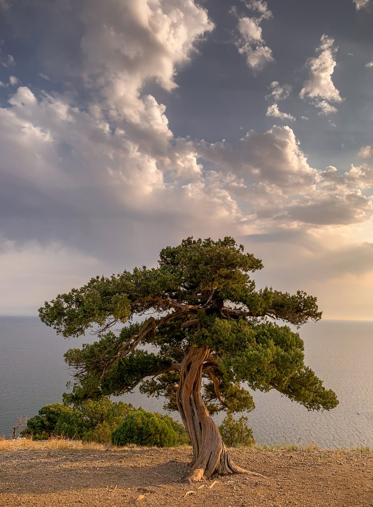 Photograph by Ольга Лихобабина