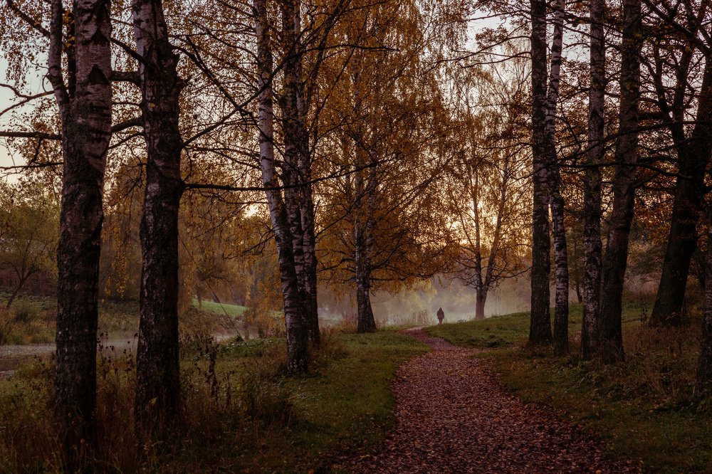 Однажды осенним октябрьским утром.