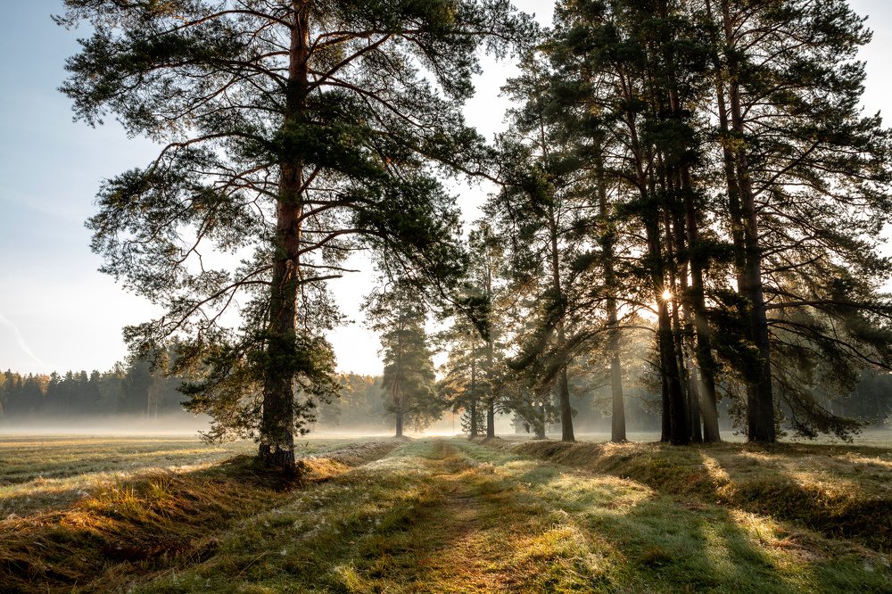 Осенний Павловск