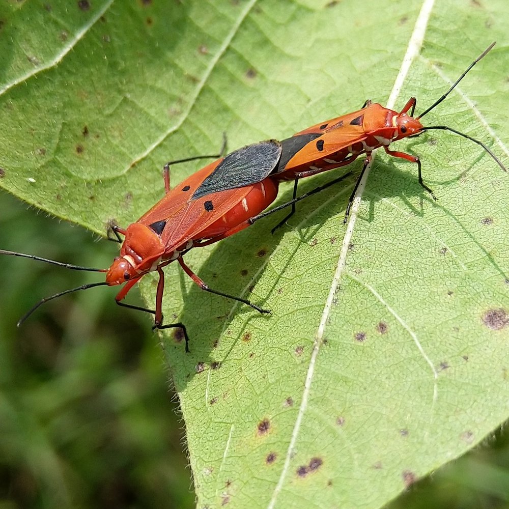 Photograph by sumit sitole