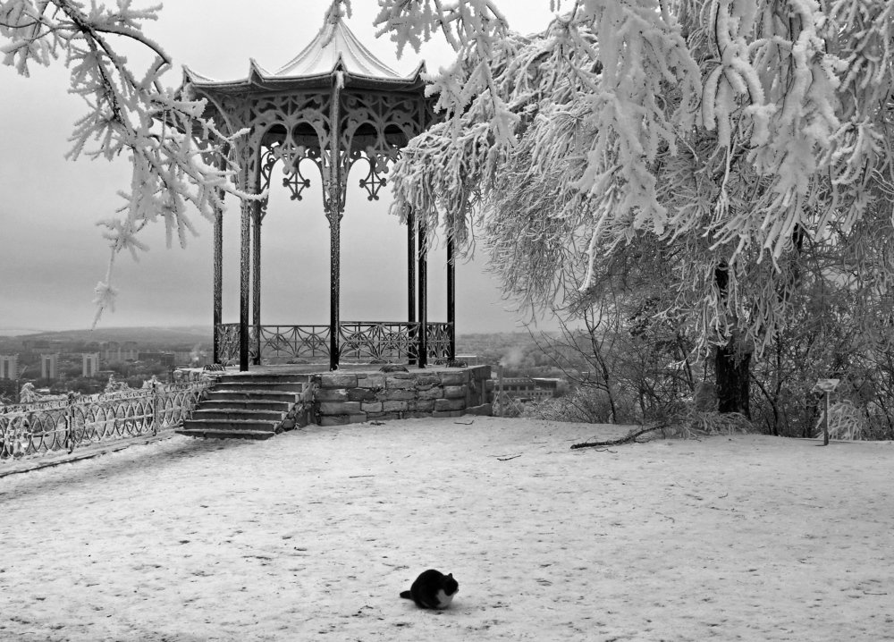 Китайская беседка