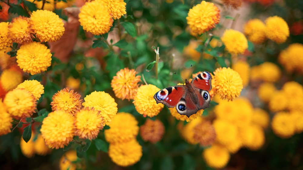 Photograph by Анастасия Мурзова