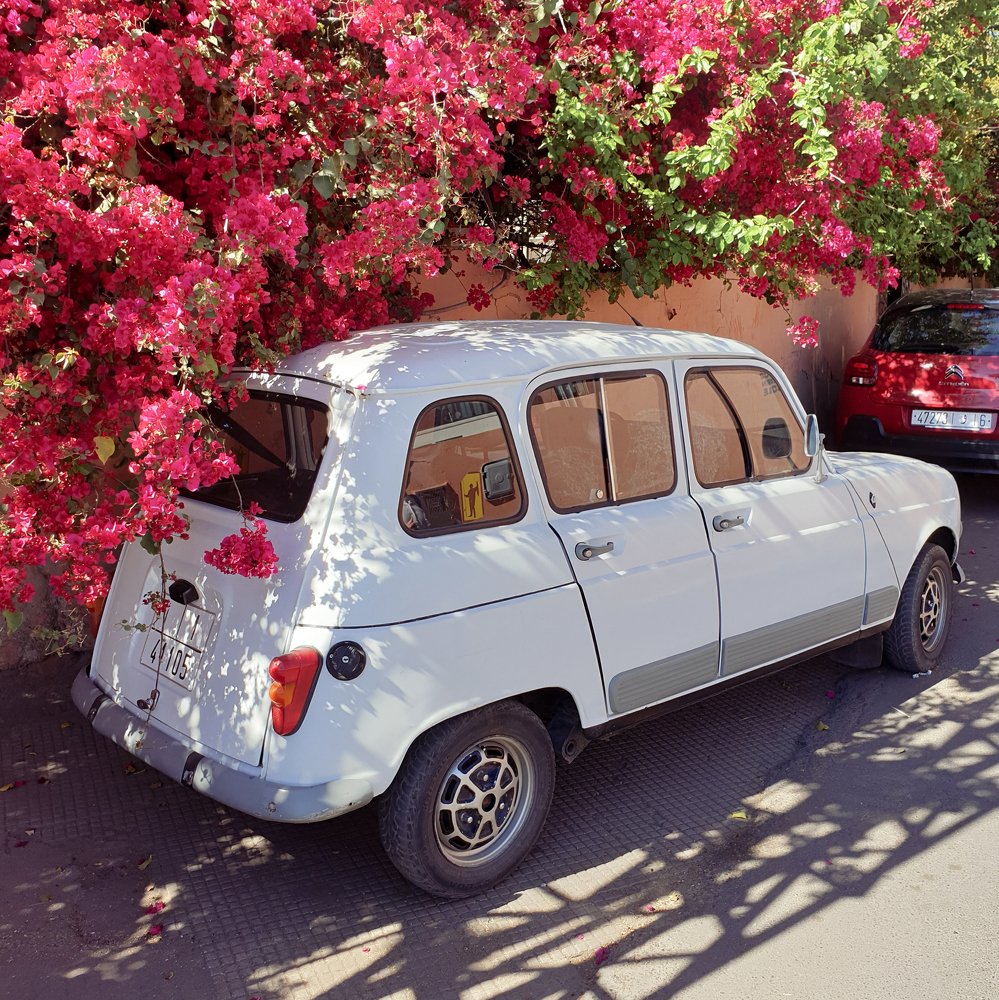 Photograph by Татьяна Лышенко