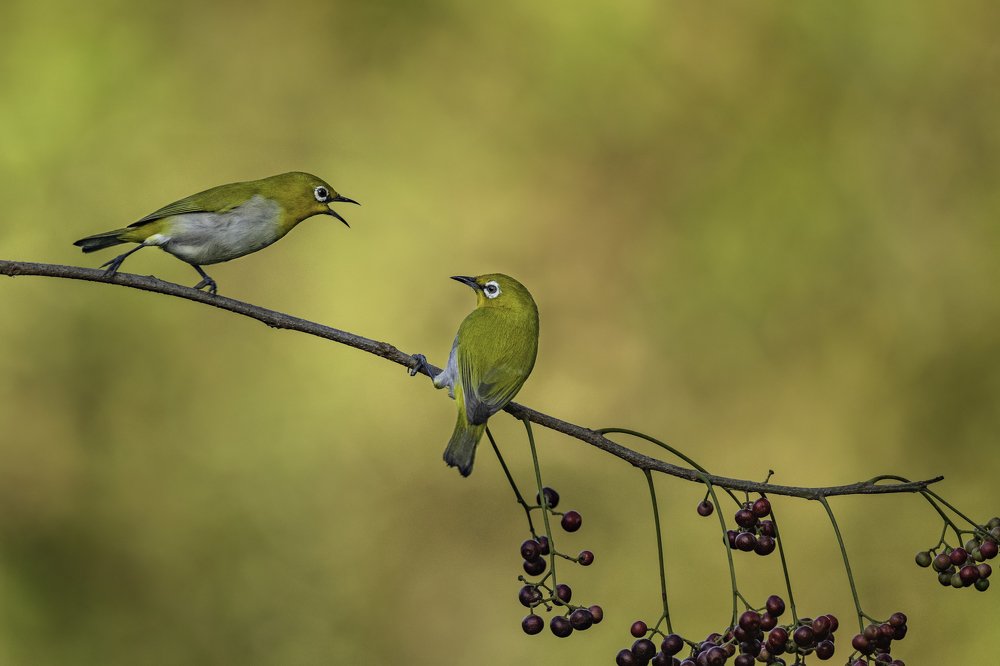Photograph by Anindita Datta Muhuri
