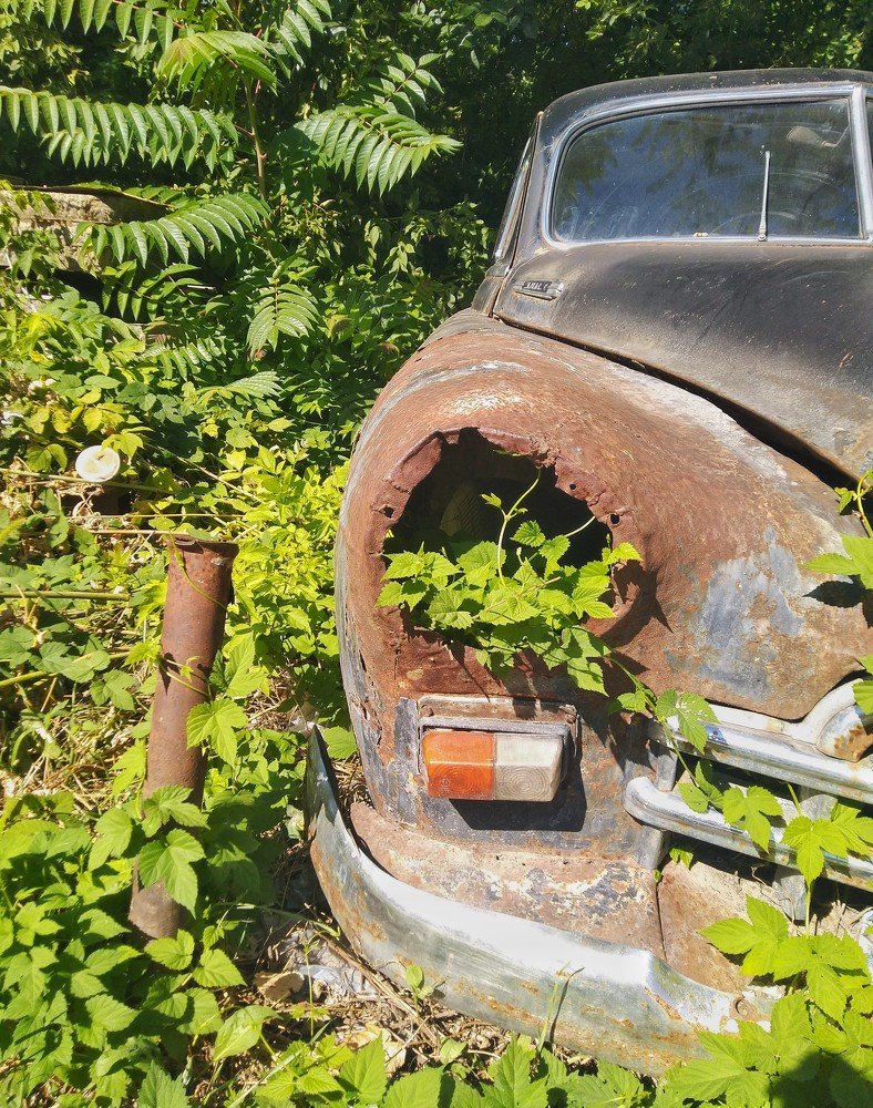 Photograph by Анна Матецкая