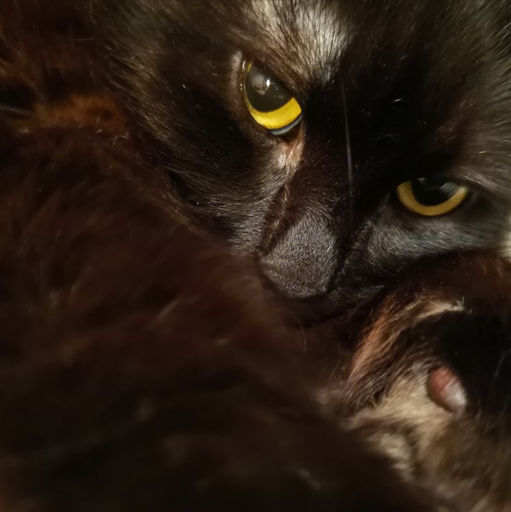 Photograph by Елена Акимова