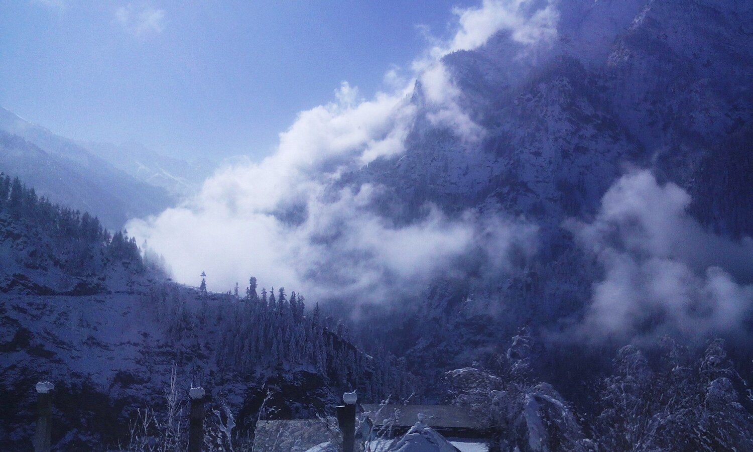 Photo #5398057