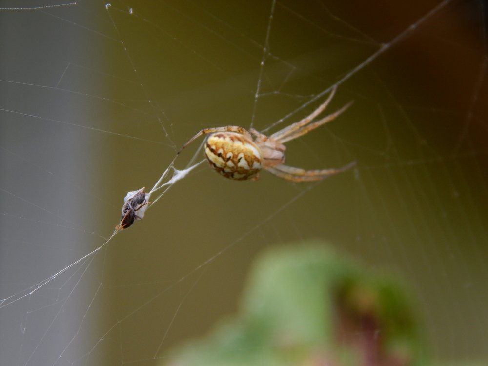 Photograph by Stanislav Fedorov