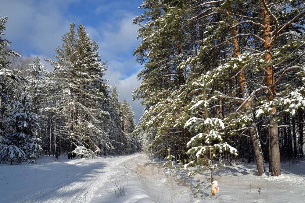 Снежком зима укутала...