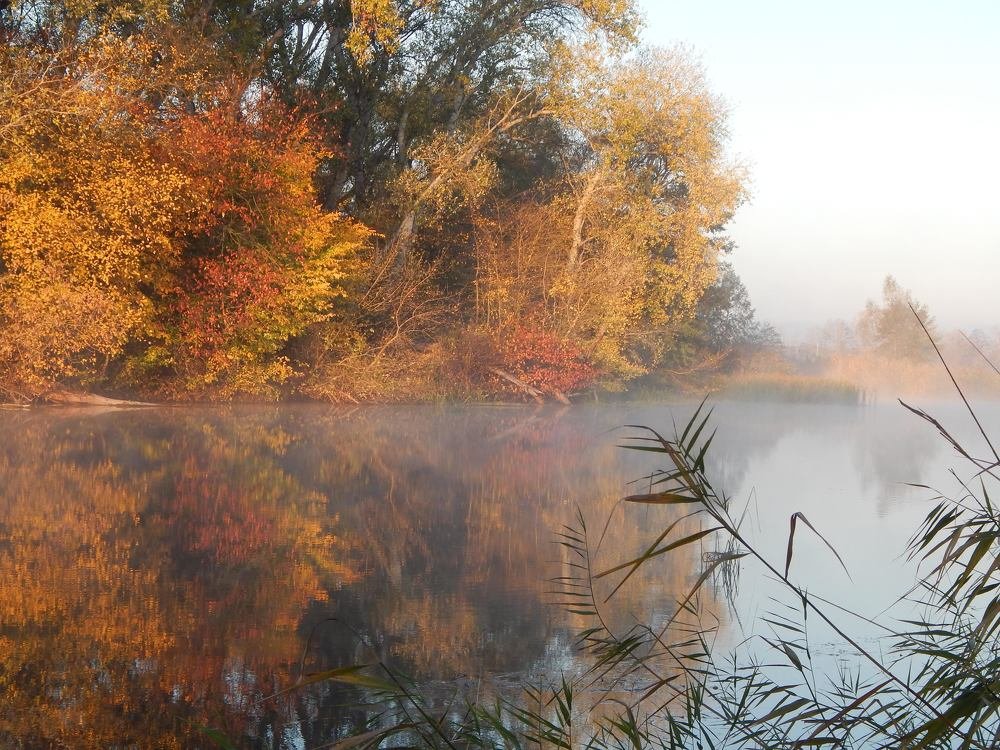 Photograph by Stanislav Fedorov