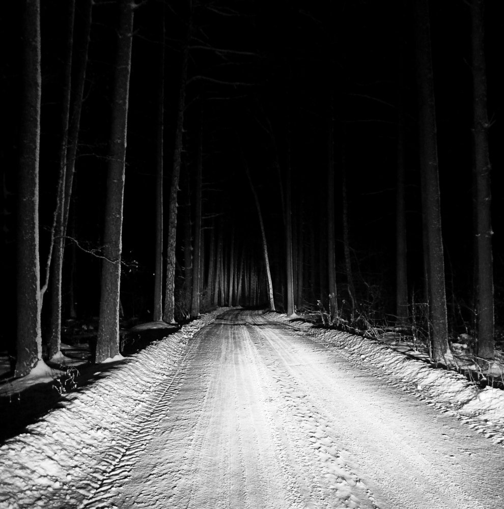 Фотография автора Максим Зубарев