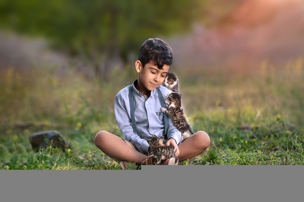 Photograph by mohsen mikaeili