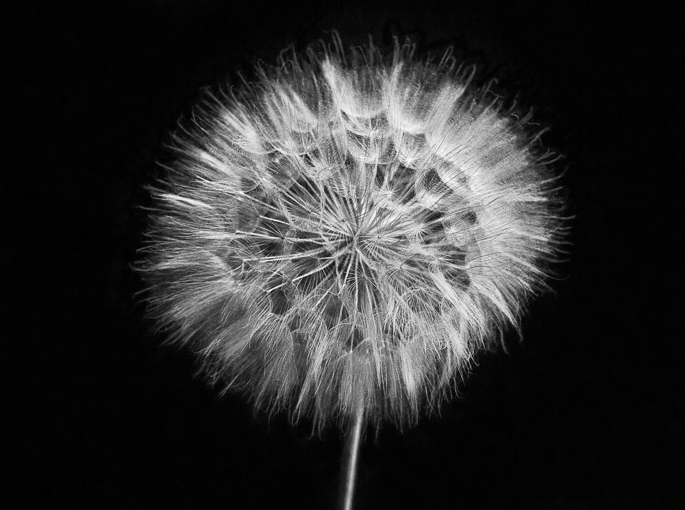 Фотография автора Анна Вигера