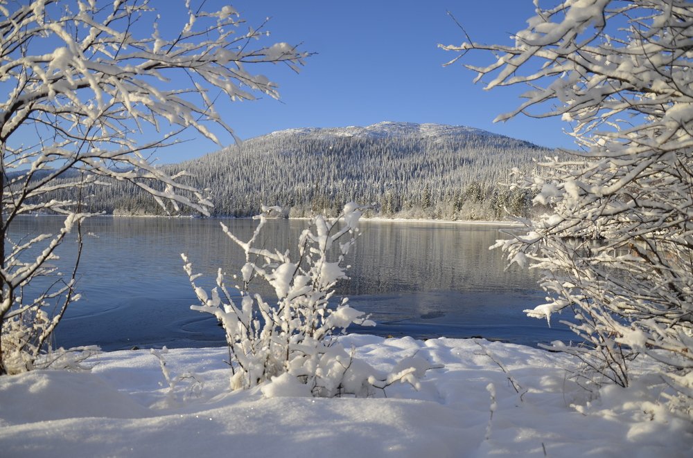 Photograph by Ирина Алексеевна Дудаль-Вологодская