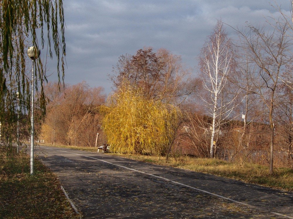 Photograph by mikhail goryachev