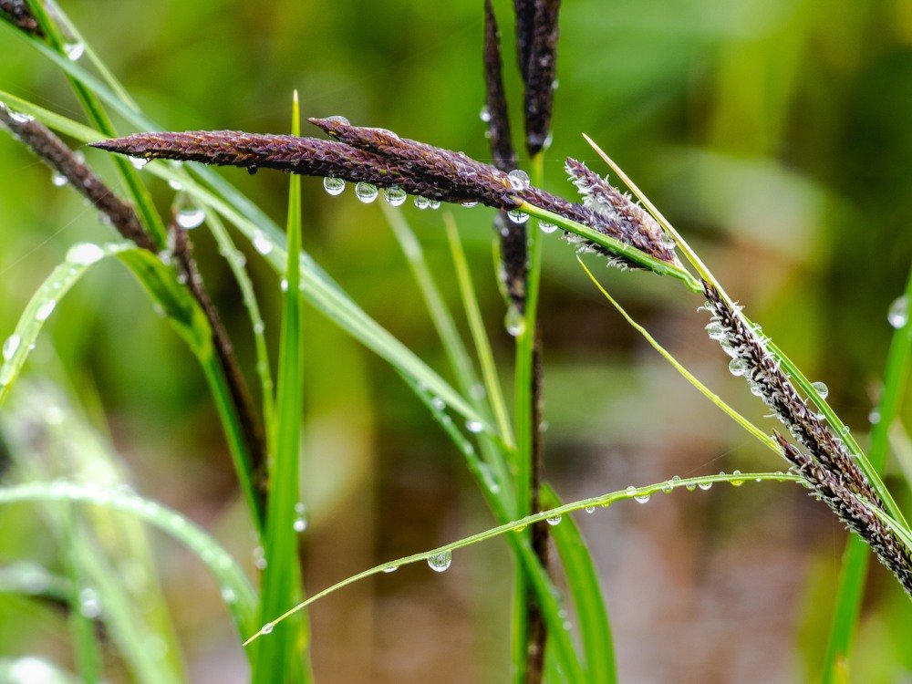 Photograph by mikhail goryachev