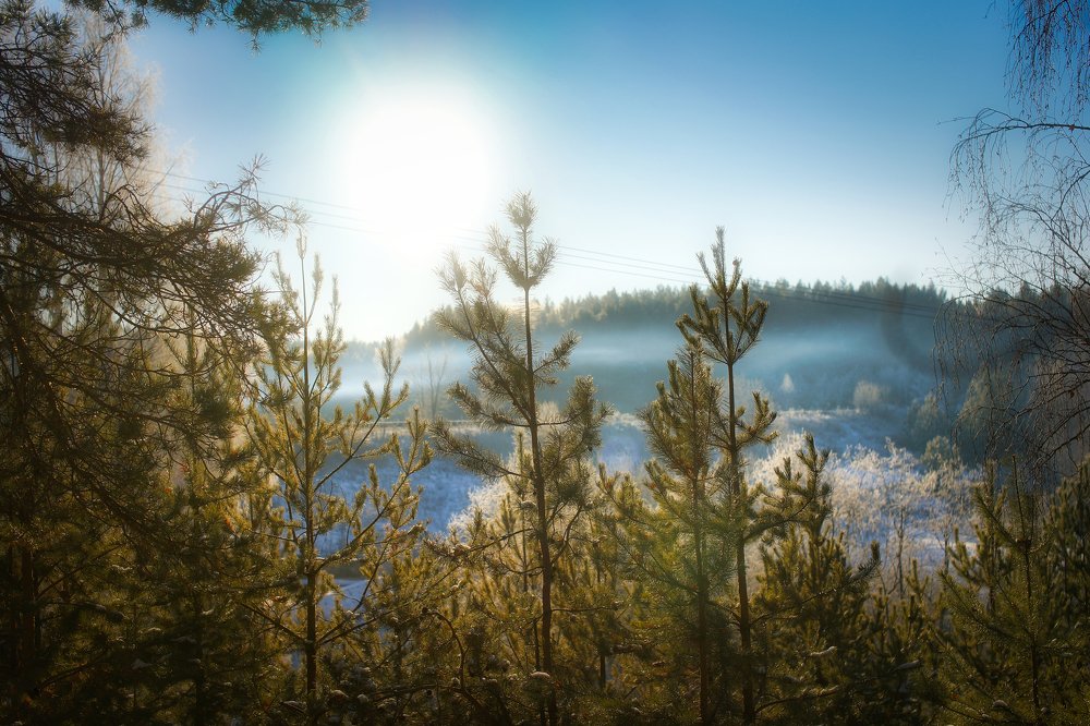 Photograph by Максим