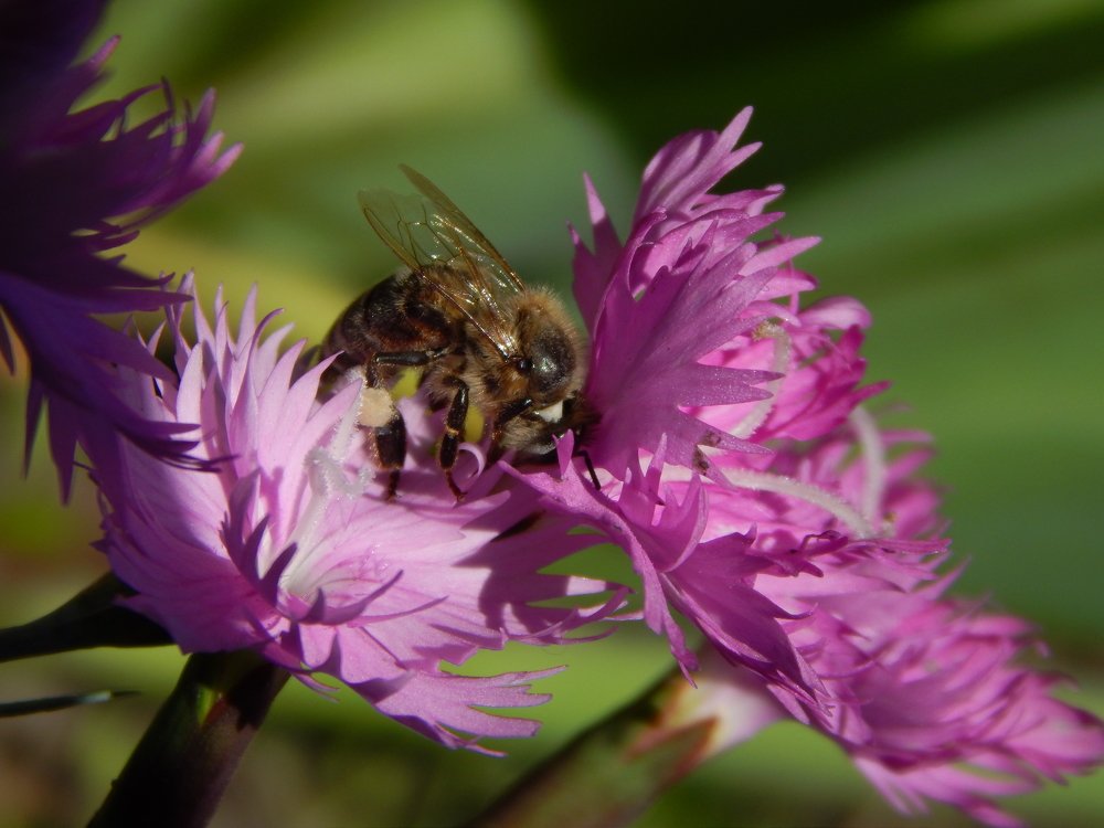 Photograph by Stanislav Fedorov
