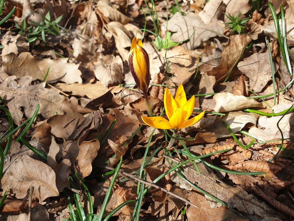 Photograph by mikhail goryachev