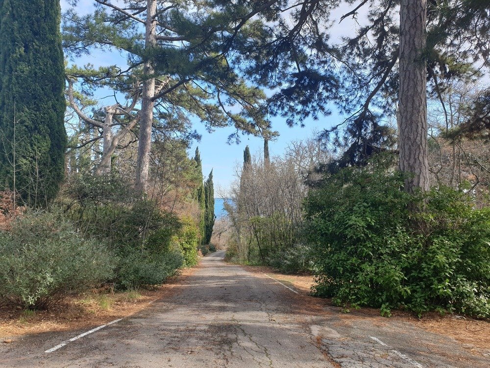 Photograph by mikhail goryachev