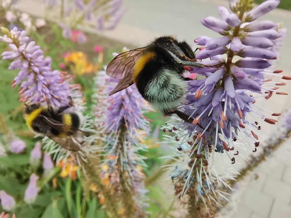 Photograph by Елена Акимова