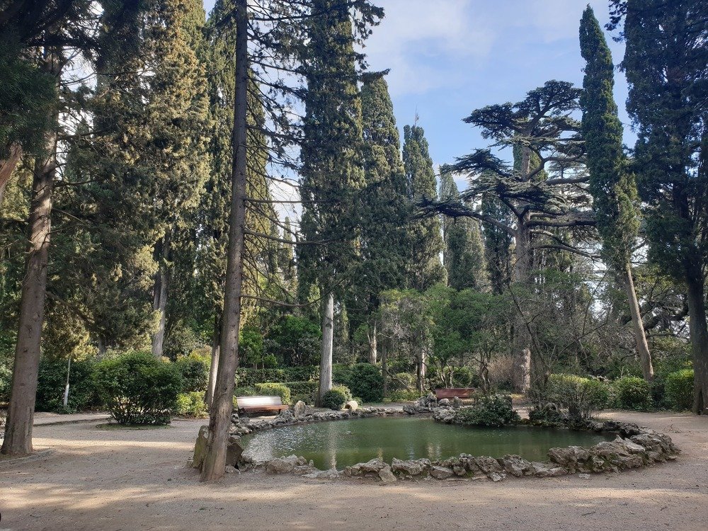 Photograph by mikhail goryachev