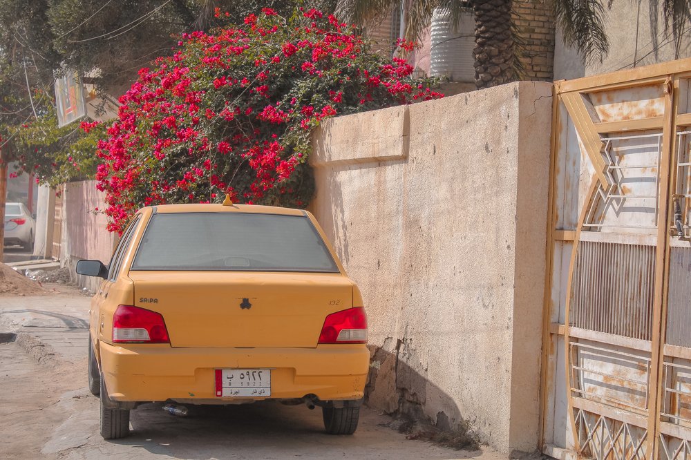 Photograph by Noora HT