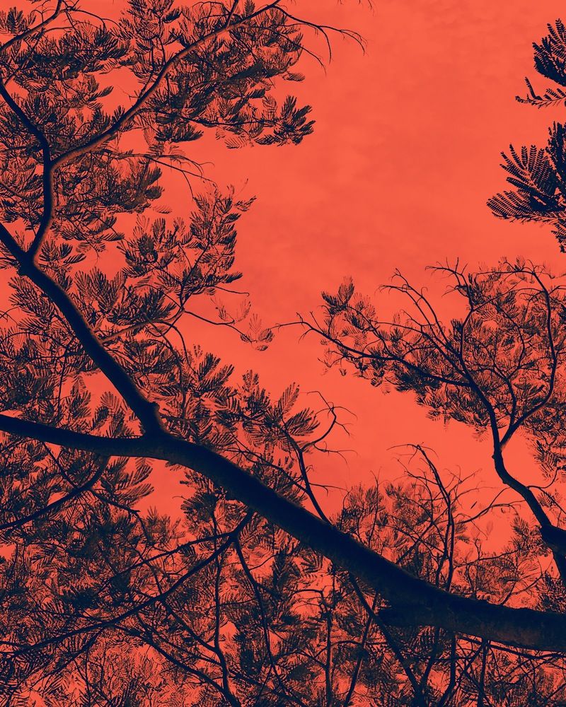 Photograph by Deasy Junita Dhani Hidayana