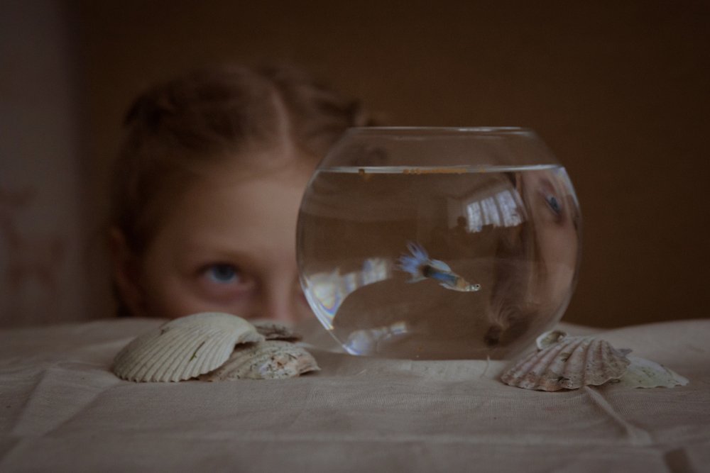 Photograph by Эрика Мареева