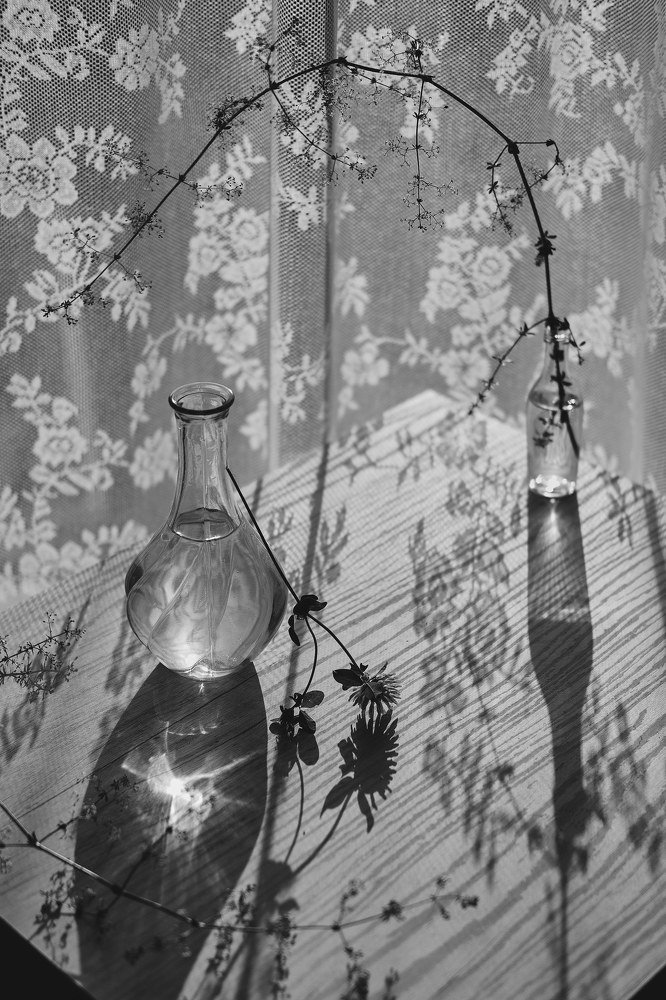 Photograph by Olga Moshnikova