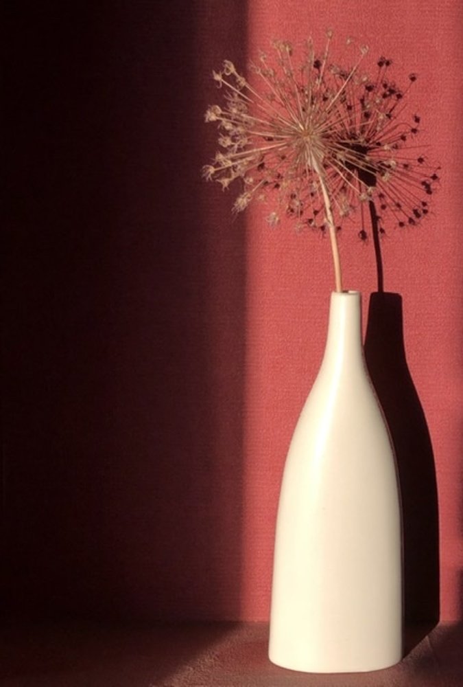 Photograph by Гордеева Ирина