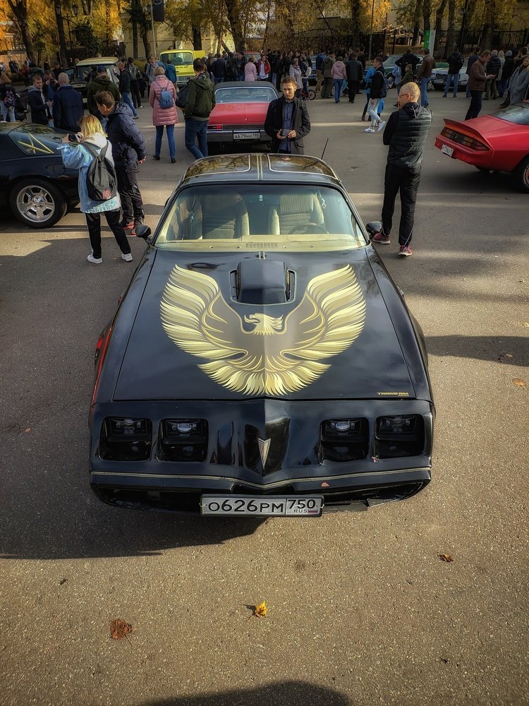 Photograph by Дмитрий Миронов