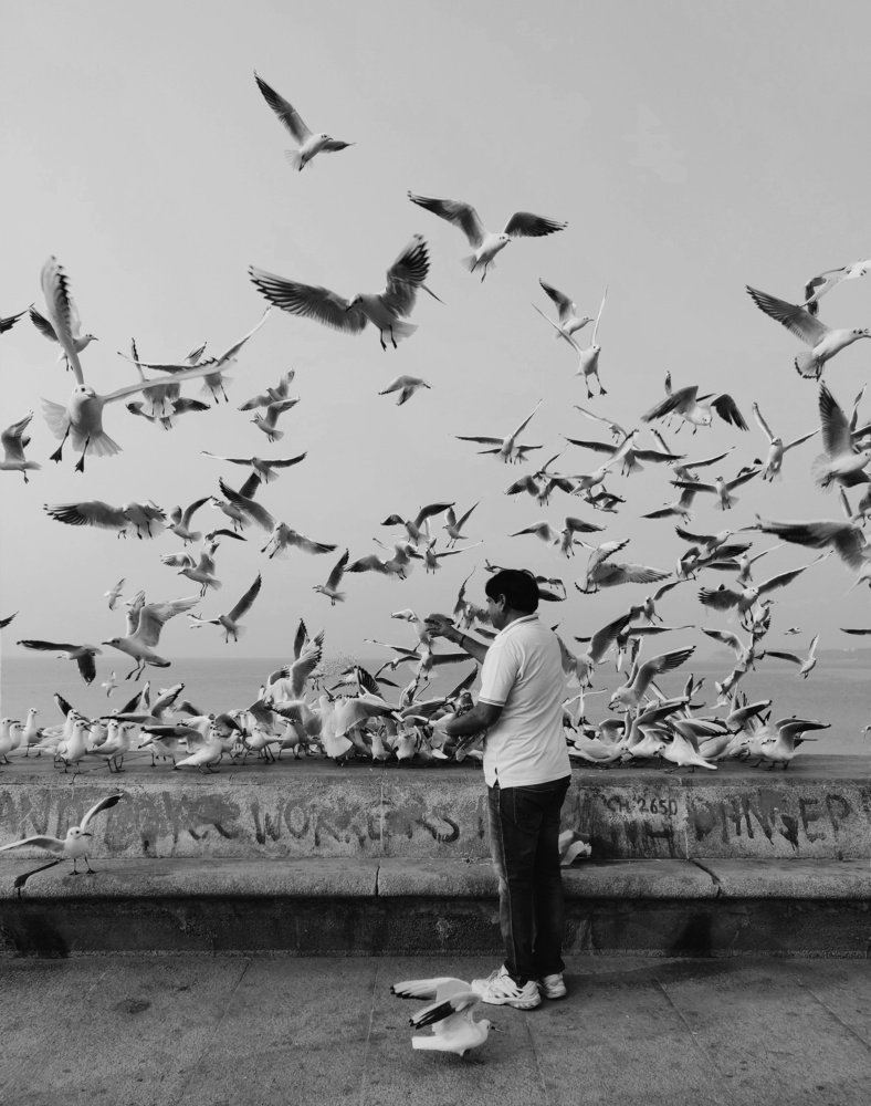 Photograph by Furqan Ahmed Golandaz