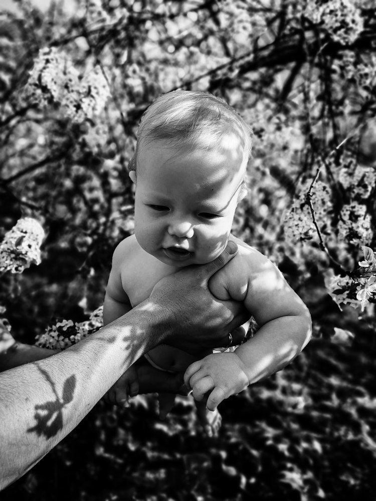 Photo #5398797