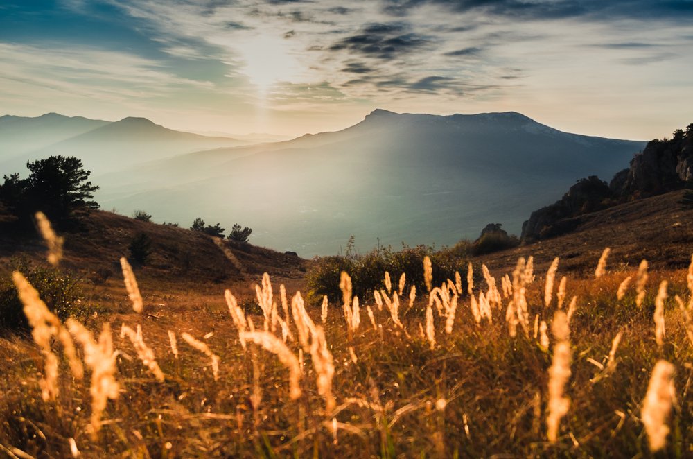 Photograph by Lerka Sonne