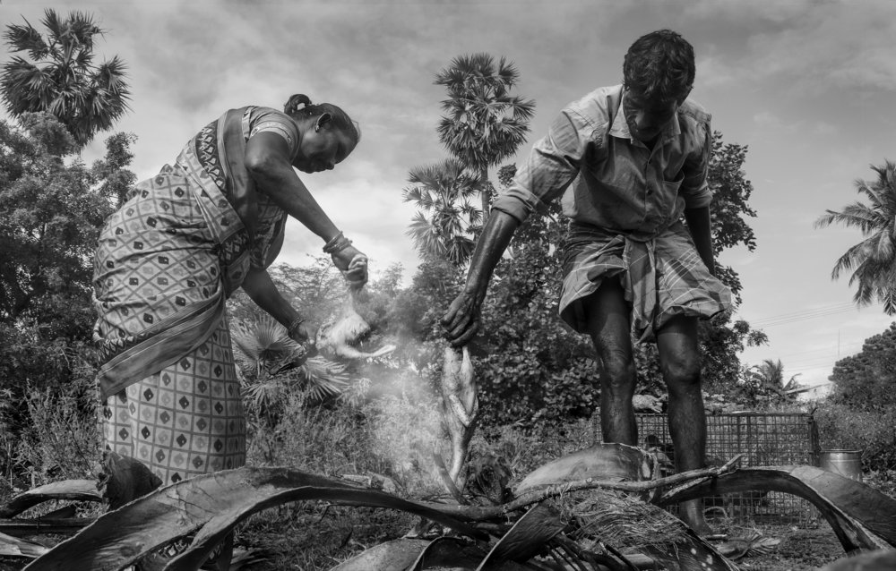 Photograph by Upayan Bardhan