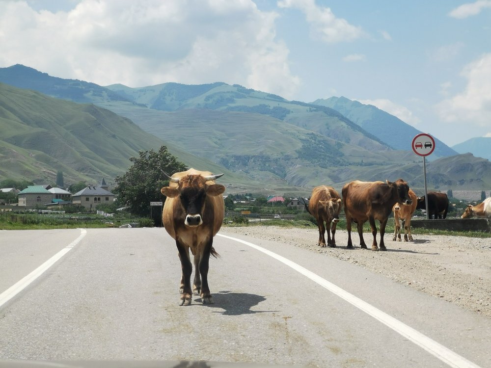 Photograph by Елена Акимова