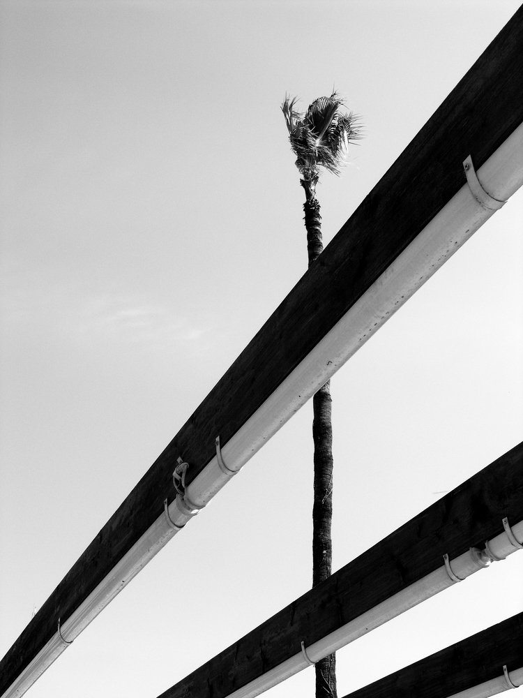 Photo #5399017