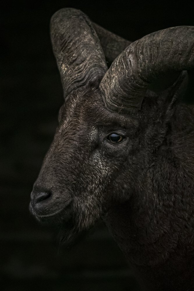 Photograph by Константин Кукушкин